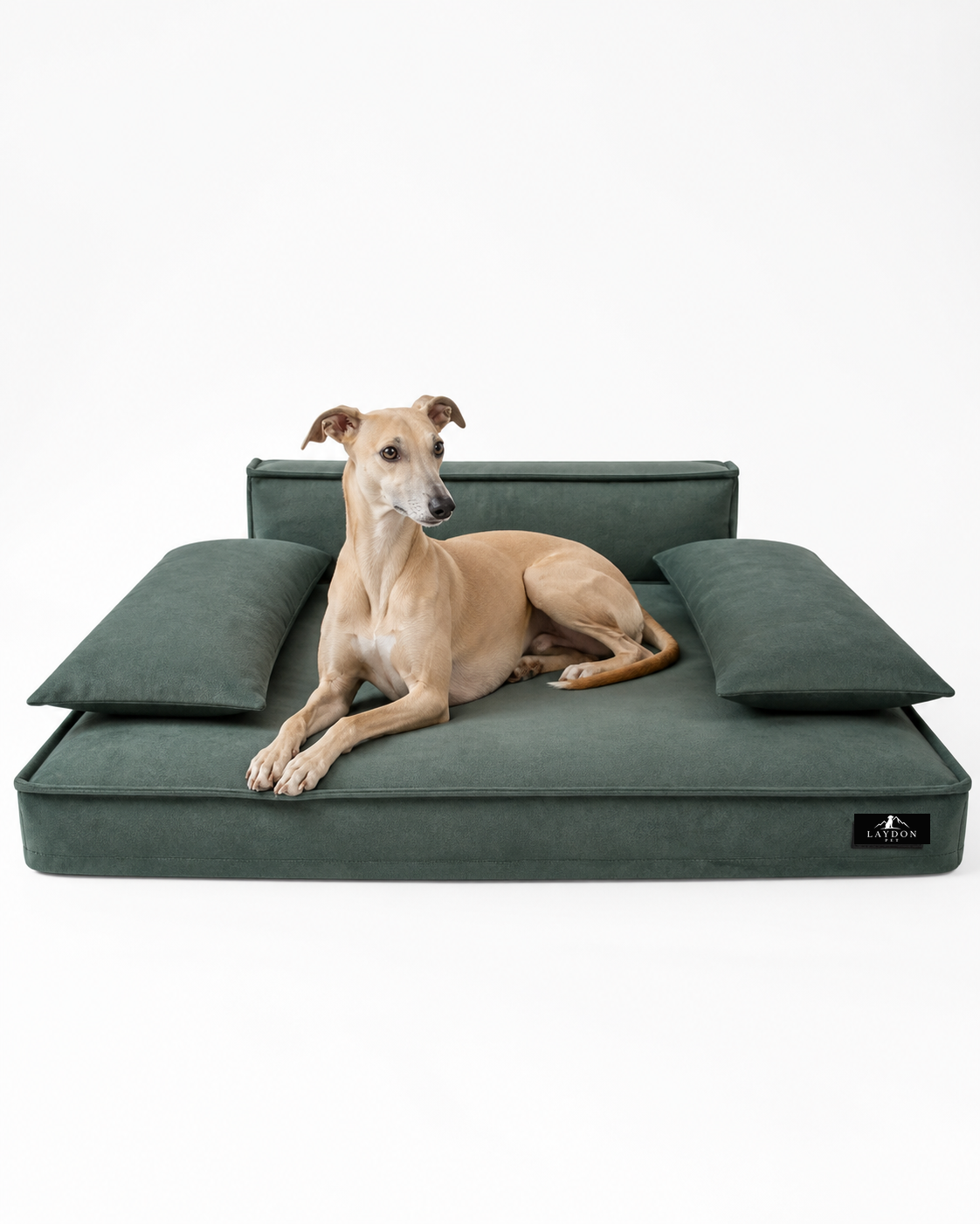 Dog resting on a green Laydon Pet lounge bed